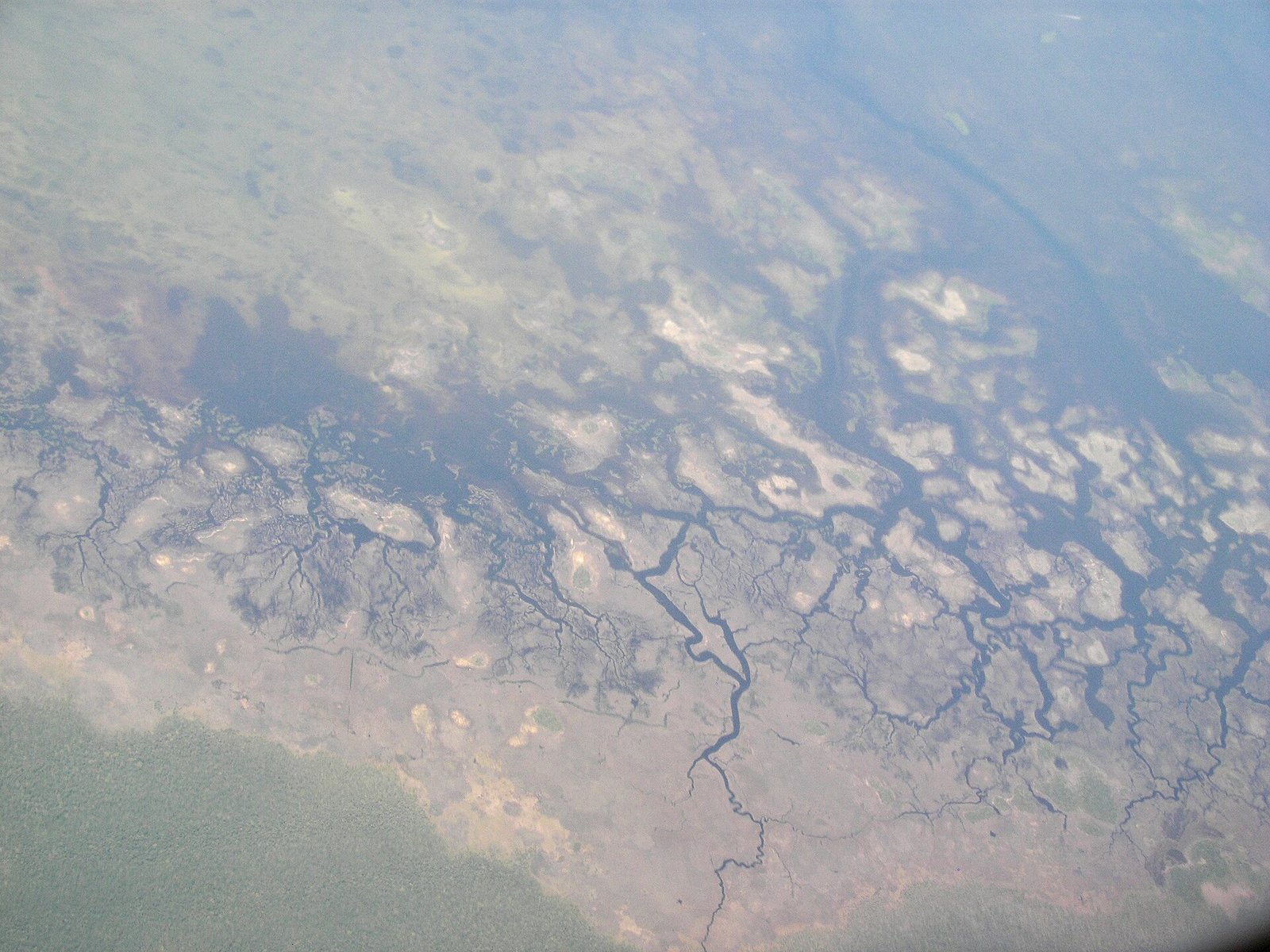 Aerial view of the bayou and coast off Chassahowitzka National Wildlife Refuge, Hernando County, Florida