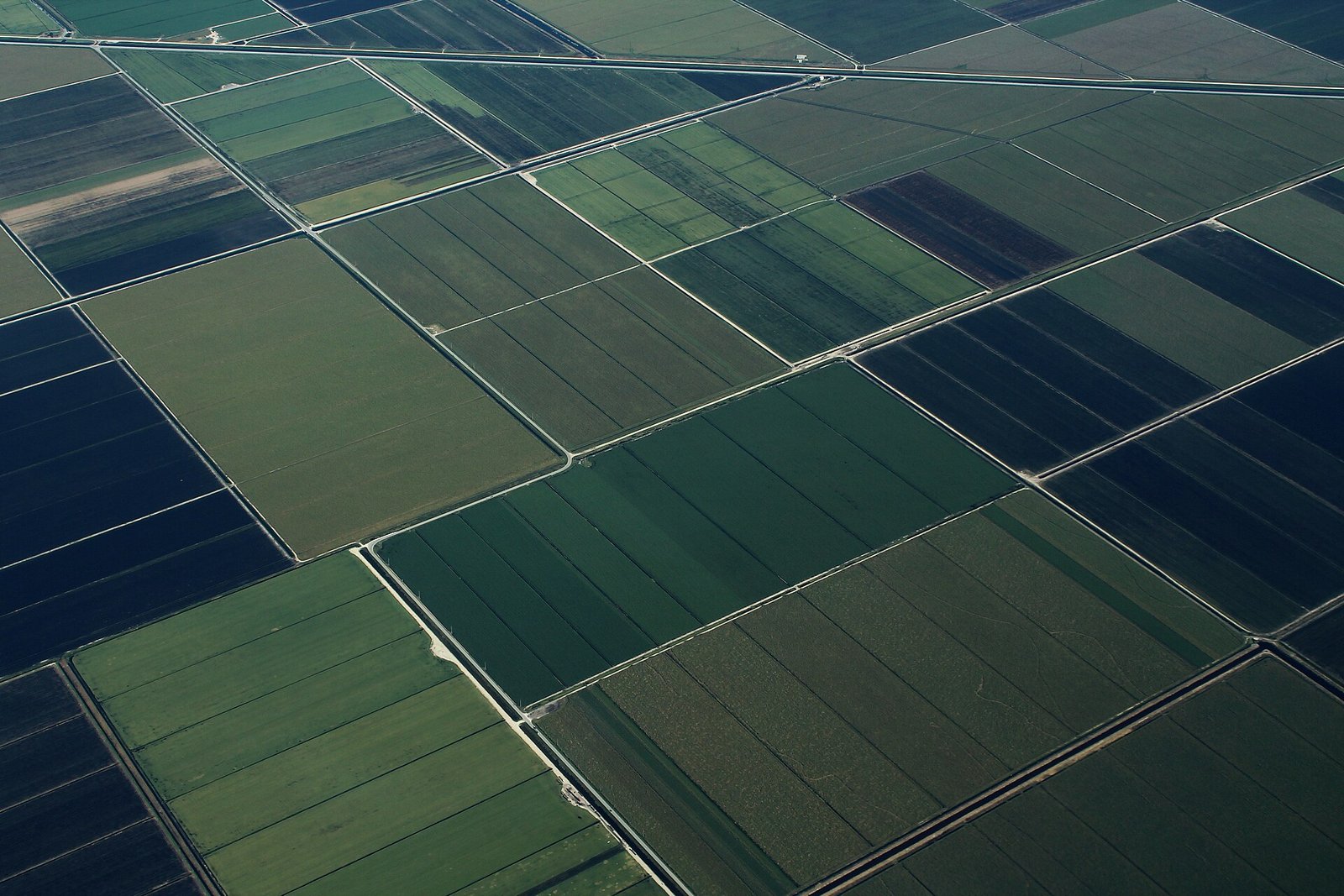 Aerial view of sod fields and pasture along State Road 700 in Florida, the land divided into parcels
